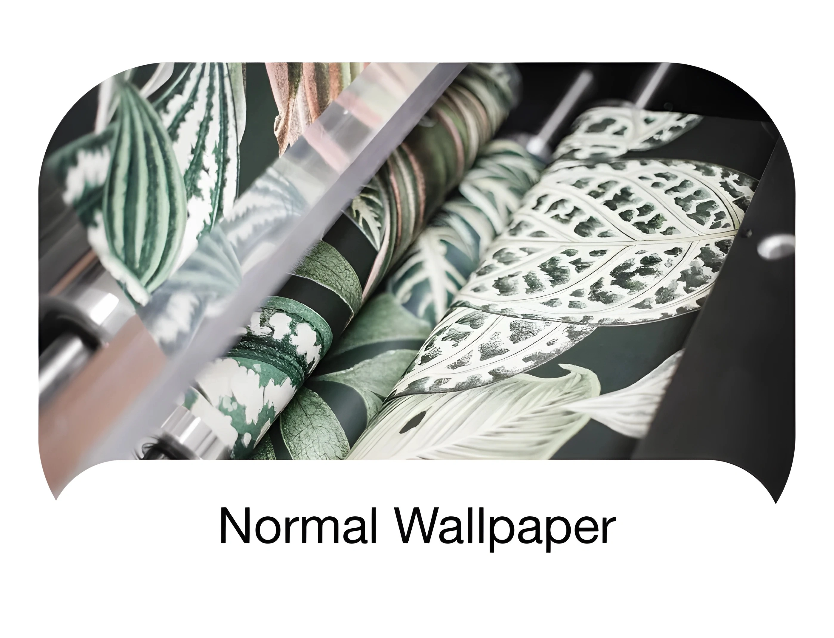 normal wallpaper rolls